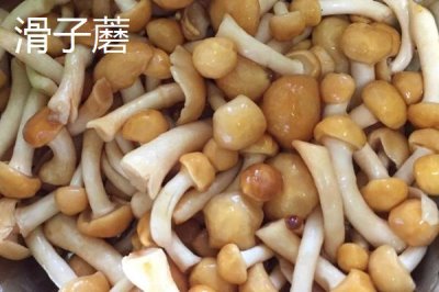 黑龍江省依安縣的特產(chǎn)，包括依安紫花油豆角、依安甜菜等種類