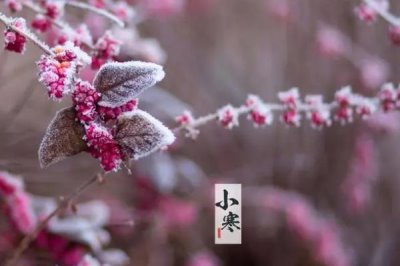 小寒節(jié)氣有哪些活動(dòng)，各地風(fēng)俗不一