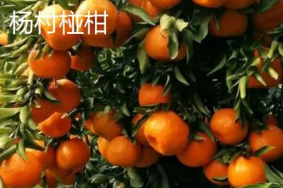 廣東省四會市的特產(chǎn)，四會玉器聞名遐邇