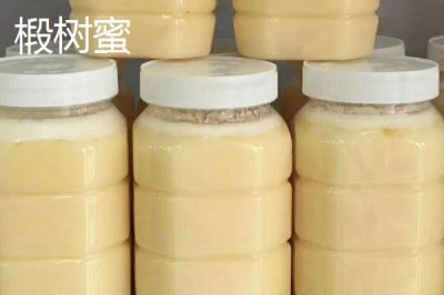 野桂花蜜的價格，一般60-80元一斤