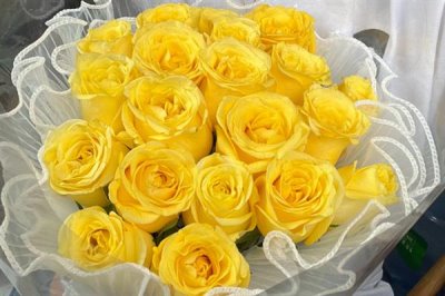 18支粉玫瑰花的花語，寓意初戀、青春永駐等