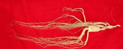 遼寧省桓仁滿族自治縣的特產(chǎn)，包括桓仁山參、桓仁大米、桓仁冰酒等種類