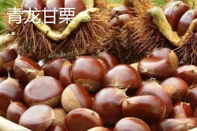 河北秦皇島有哪些特產(chǎn)，昌黎葡萄暢銷全國各地