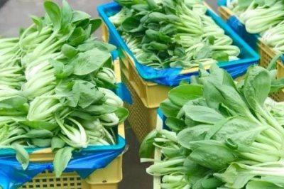保存綠葉蔬菜的方法，扎捆后將根部浸泡在水中能保存3-4天