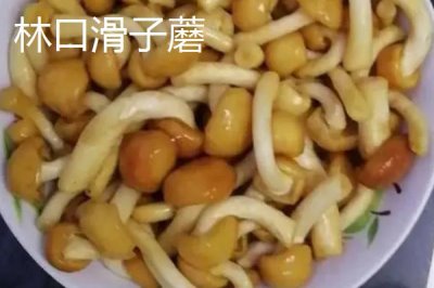 黑龍江牡丹江市的特產(chǎn)，響水大米馳名中外