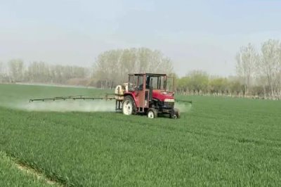 殺蟲劑是否可以殺死虱子和虱子卵，適合的殺蟲劑可以