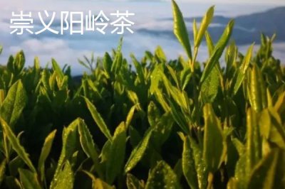 江西省瑞金市的特產(chǎn)，肉圓魚(yú)丸別有風(fēng)味