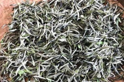 白茶的產(chǎn)地，不同品種的產(chǎn)地不一