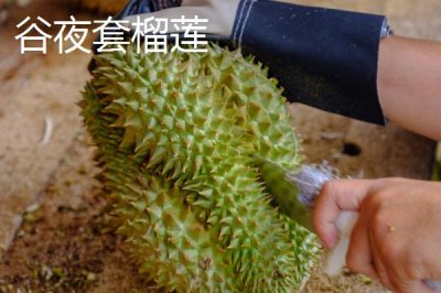 榴蓮如何防止氧化，可放入冰箱冷凍保存