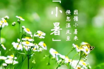 小暑是入伏的第一天嗎,小暑不是入伏的第一天