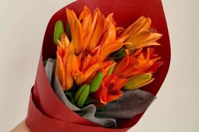 橙色百合花的寓意，寓意榮譽、勝利、富貴等