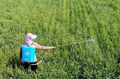 代森錳鋅不能與哪些農(nóng)藥混用，不能和銅制劑和堿性藥劑混用