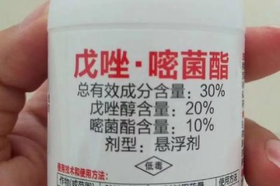 嘧菌酯的用途，可防治白粉病、銹病、網斑病等