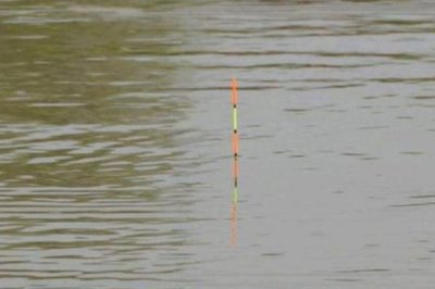 冬天釣鯽魚怎么選浮漂，盡量選擇靈敏度高的浮漂