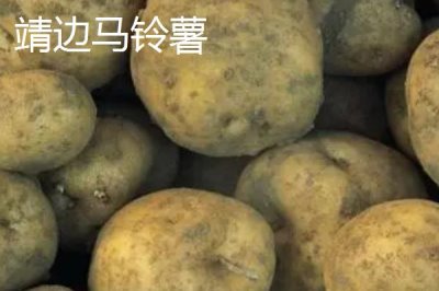 陜西靖邊縣的特產(chǎn)，靖邊馬鈴薯符合無公害甚至綠色食品標準