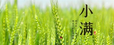 小滿是什么節(jié)氣，是第八個節(jié)氣