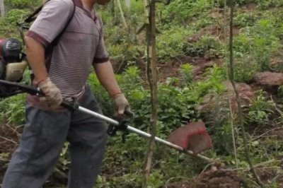 百香果的產(chǎn)地，廣植于熱帶和亞熱帶地區(qū)
