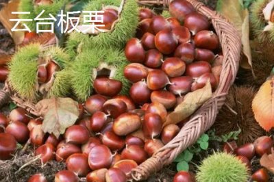 江蘇連云港的特產(chǎn)，紫菜為當(dāng)?shù)刂饕隹诋a(chǎn)品之一