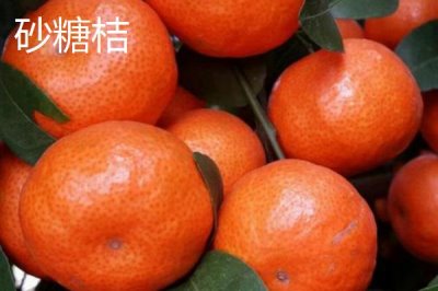 橘子品種介紹，產(chǎn)地不同各具特色