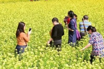 清明節(jié)有哪些風(fēng)俗，各地風(fēng)俗不一樣