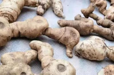 野生雞頭參的價(jià)格，一斤需要8-20元左右