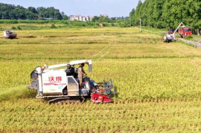 農(nóng)機手田間工作注意事項，不要疲勞工作