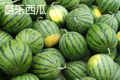 山東濰坊的特產(chǎn)，諸城綠茶是中國國家地理標志產(chǎn)品