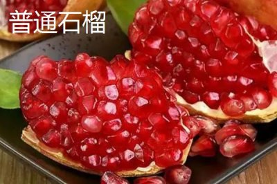 紅玉軟籽石榴的產(chǎn)地，四川攀西地區(qū)為主產(chǎn)區(qū)