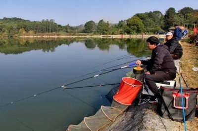 夏天釣鯉魚要釣淺還是釣深，通常以釣淺為主