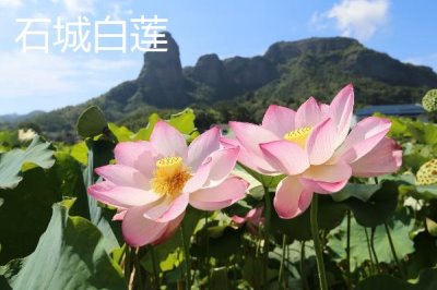 江西贛州市的特產(chǎn)，贛南臍橙成為贛州名片