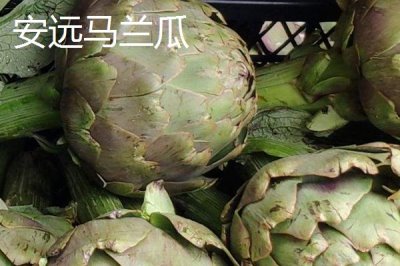 懷遠(yuǎn)八干相關(guān)介紹，是指懷遠(yuǎn)木瓜干、懷遠(yuǎn)南瓜干、懷遠(yuǎn)茄子干等特產(chǎn)