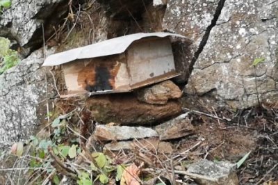 南方如何誘蜂及注意事項，利用蜂蠟可吸引偵查蜂