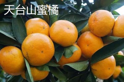 浙江臺州的特產(chǎn)，包括仙居番薯干、天臺山蜜橘、重陽糕等種類