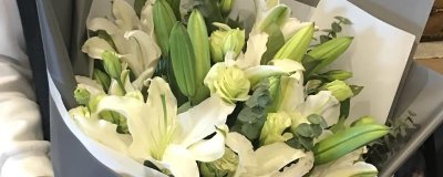 11朵百合代表什么意思，花語(yǔ)是愛(ài)情、一心一意、美好